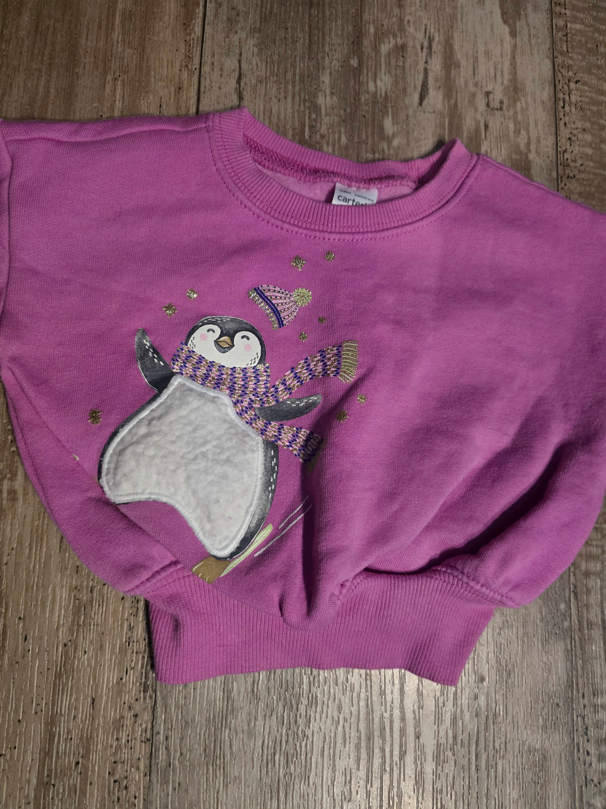 Carter’s Girls Fleece-Lined Sweatshirt – 18M
