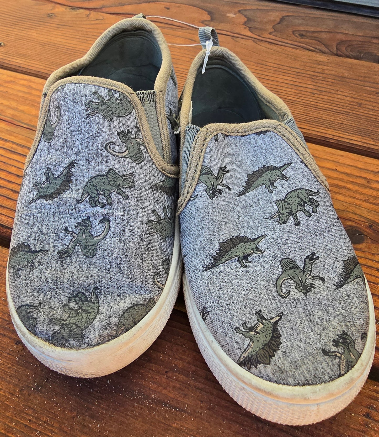 Carter's Dino Slip-on's-10C