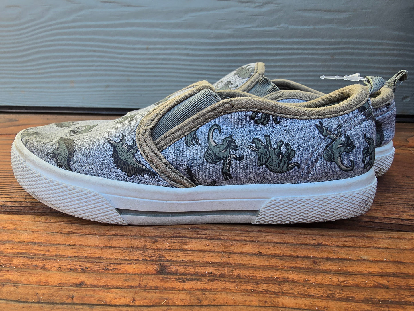 Carter's Dino Slip-on's-10C