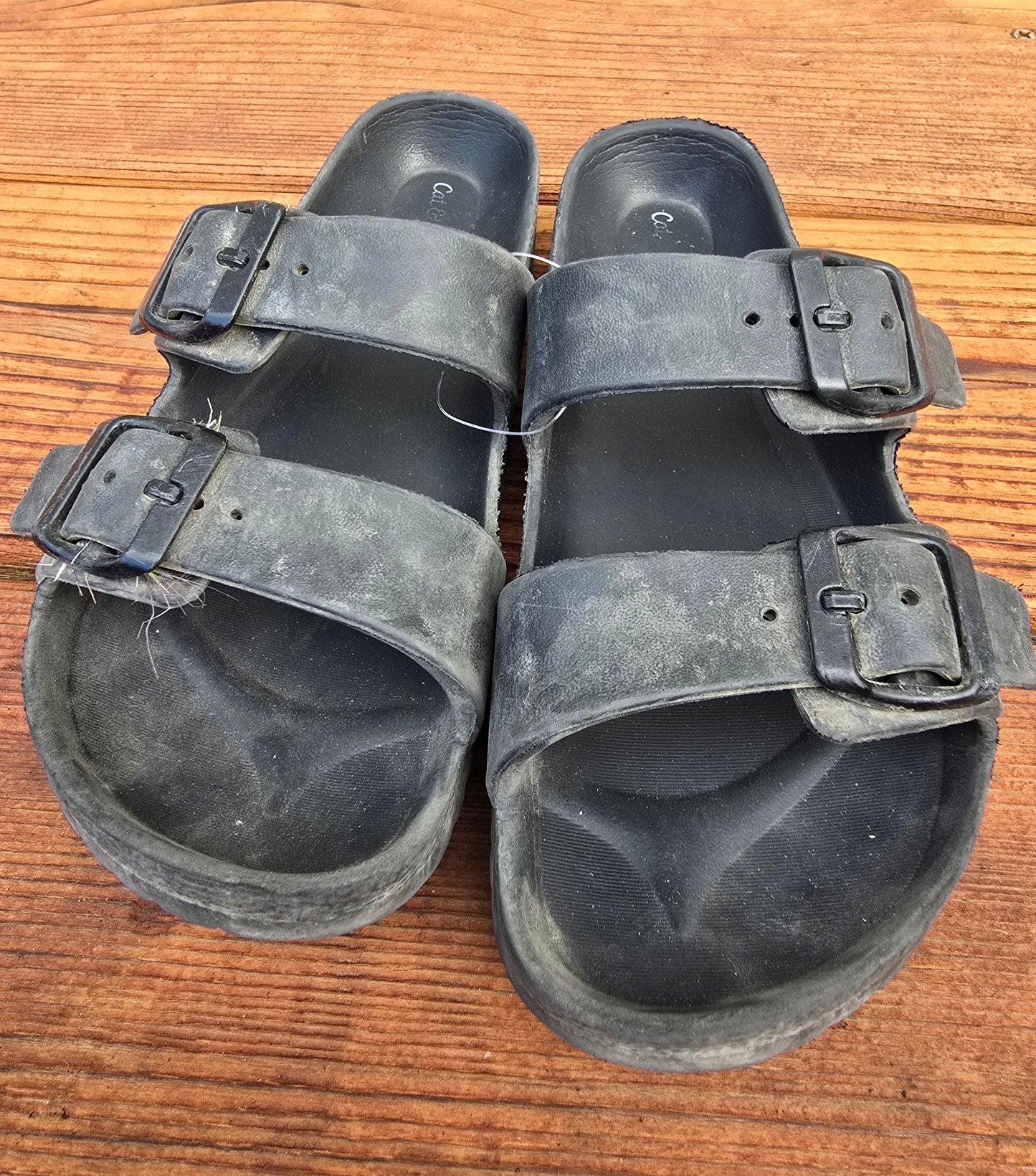 Cat&Jack Sandals-2Y