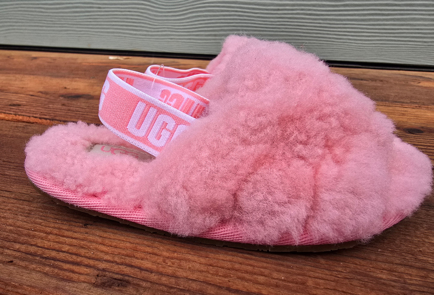 Ugg Slipper-8C