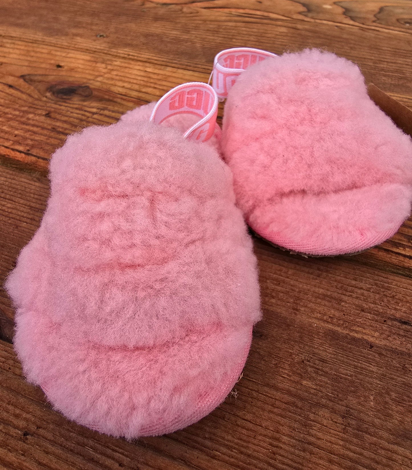 Ugg Slipper-8C