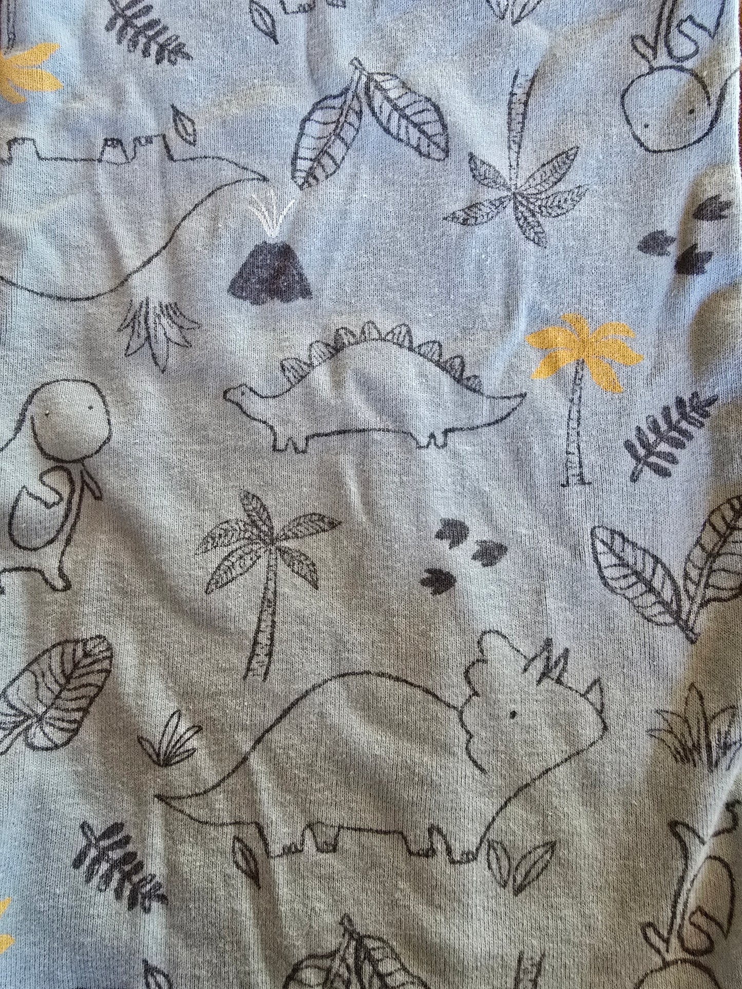 Carter's Dino Sleep Gown-PRE