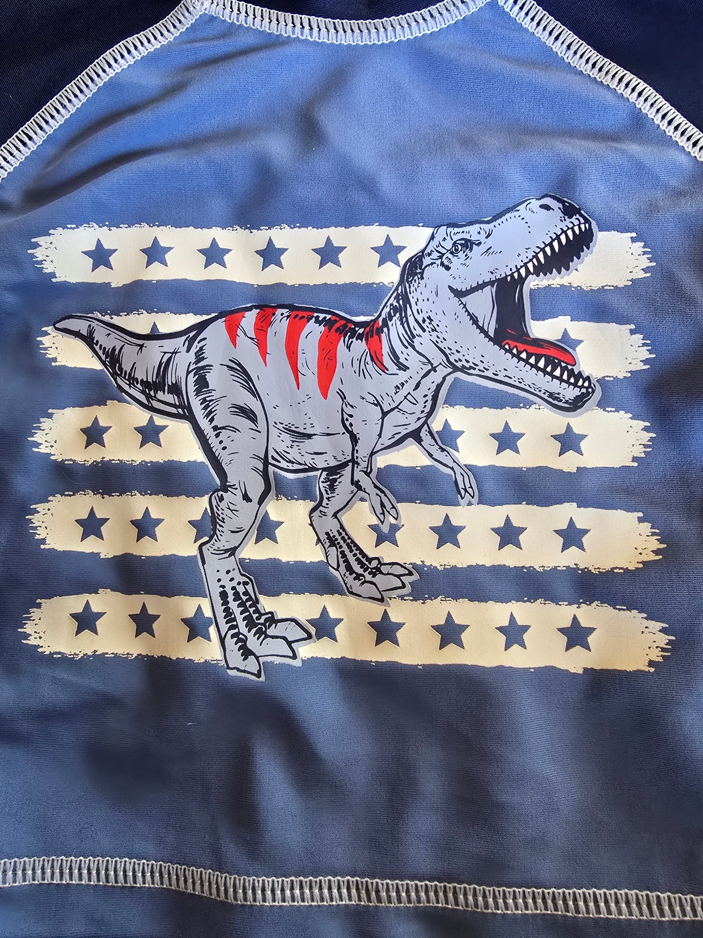 Carter's Dinosaur Rashguard-6M