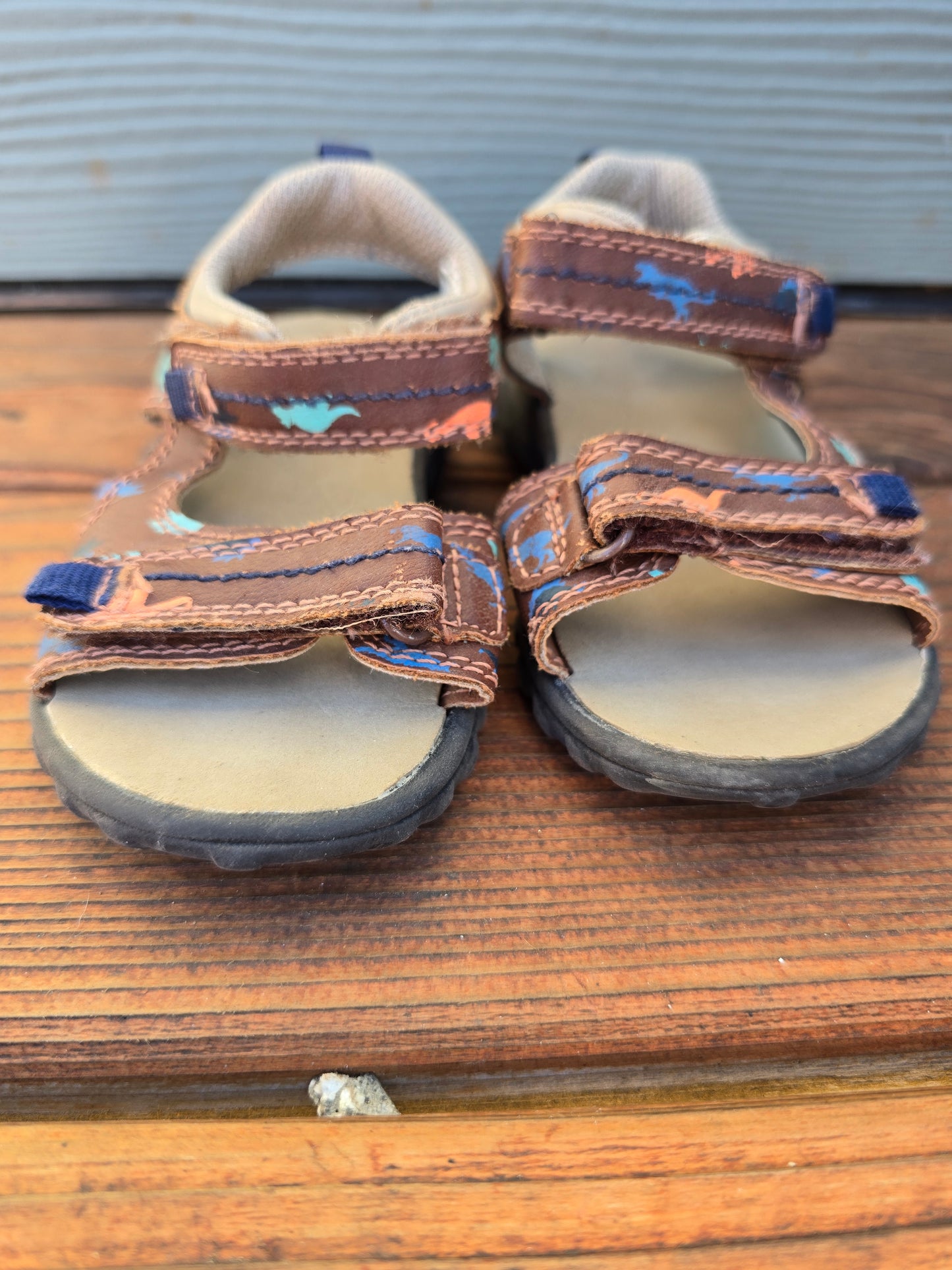 Carter's Dinosaur Sandals-5INF