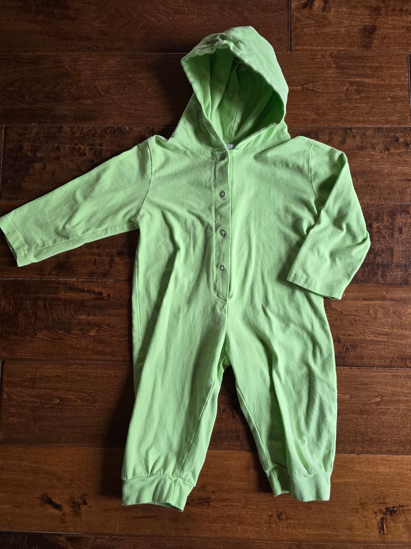 Dinosaur Hooded Jumper-2T