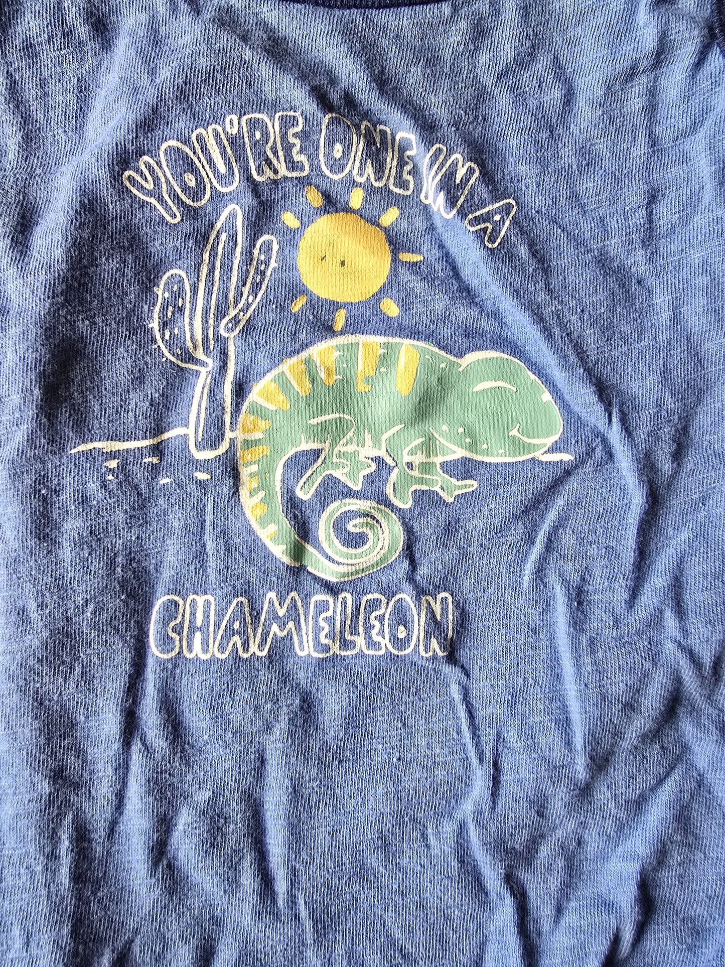 Carter's Chameleon Tank Onesie-6M