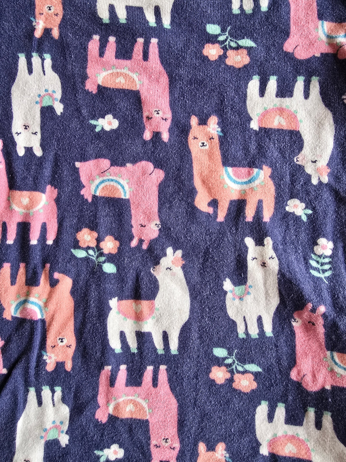 Carter's Llama Jammies Set-4T