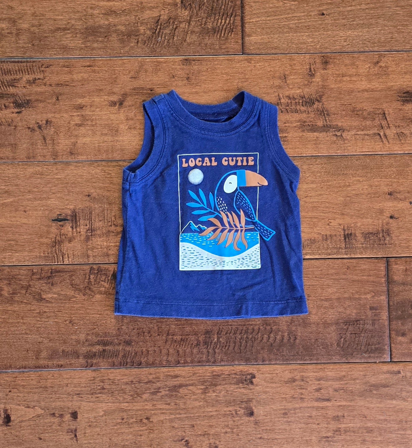 Carter's Boy Tank and Short Set-6M