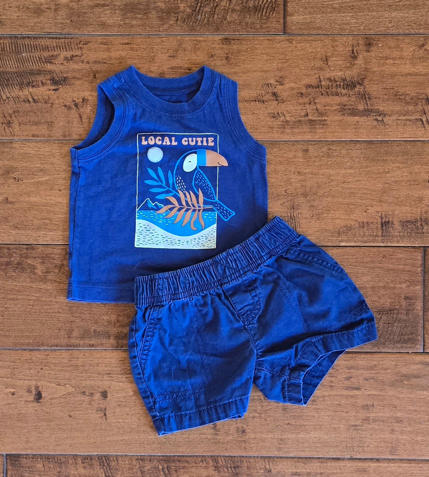 Carter's Boy Tank and Short Set-6M