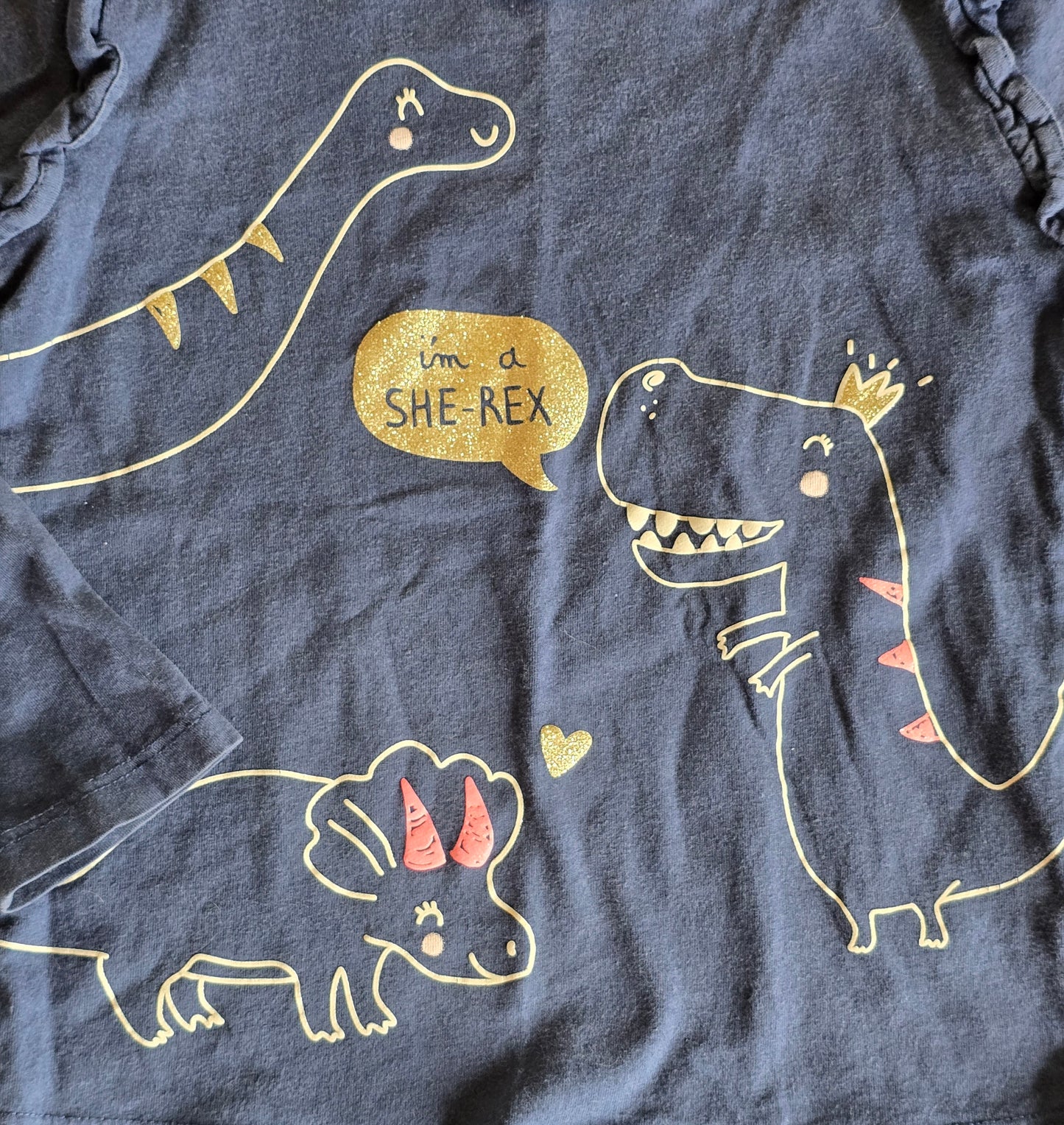 Carter's Girls Dinosaur Shirt-4T