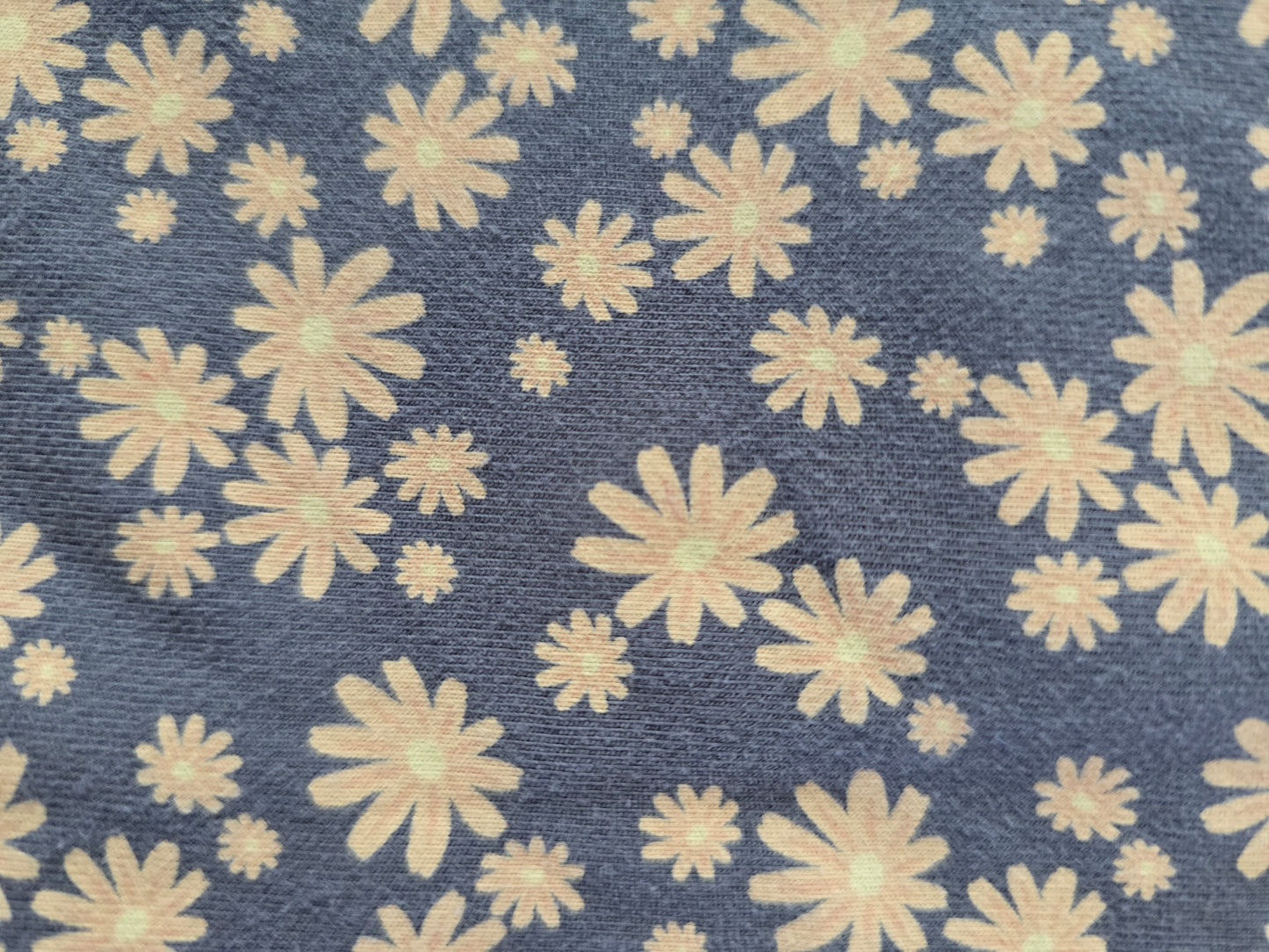 Cynthia Rowley Girls Dress Set-2T