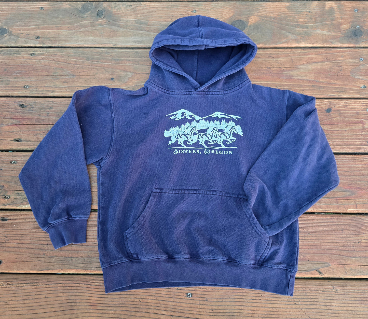 Sister's Oregon Hoodie Sweatshirt-10/11