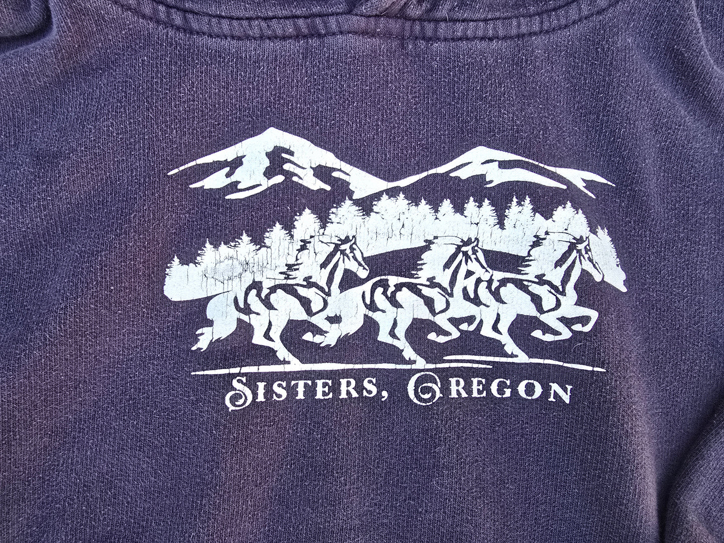 Sister's Oregon Hoodie Sweatshirt-10/11