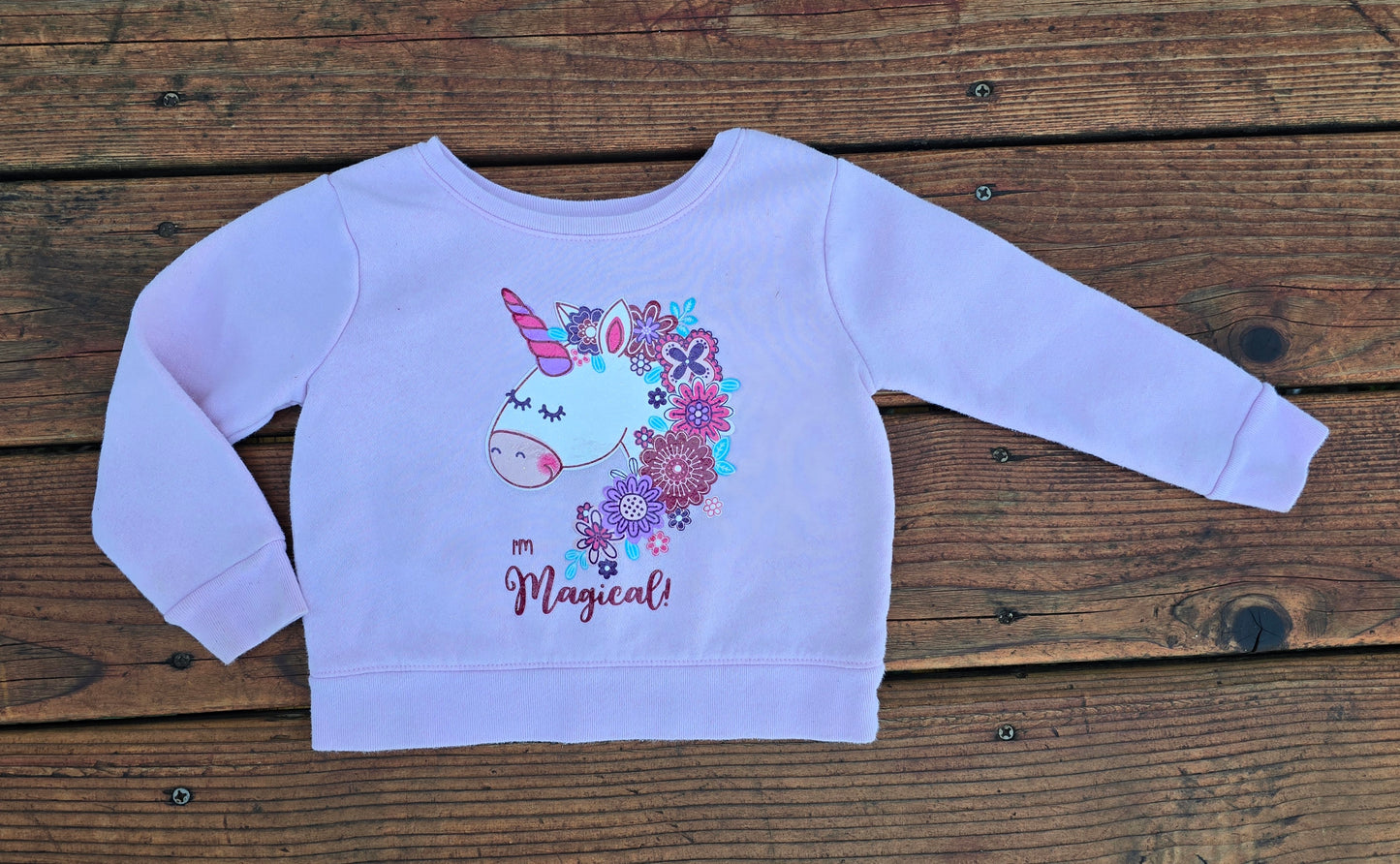 Garanimals Girls Magical Crewneck Sweatshirt-18M