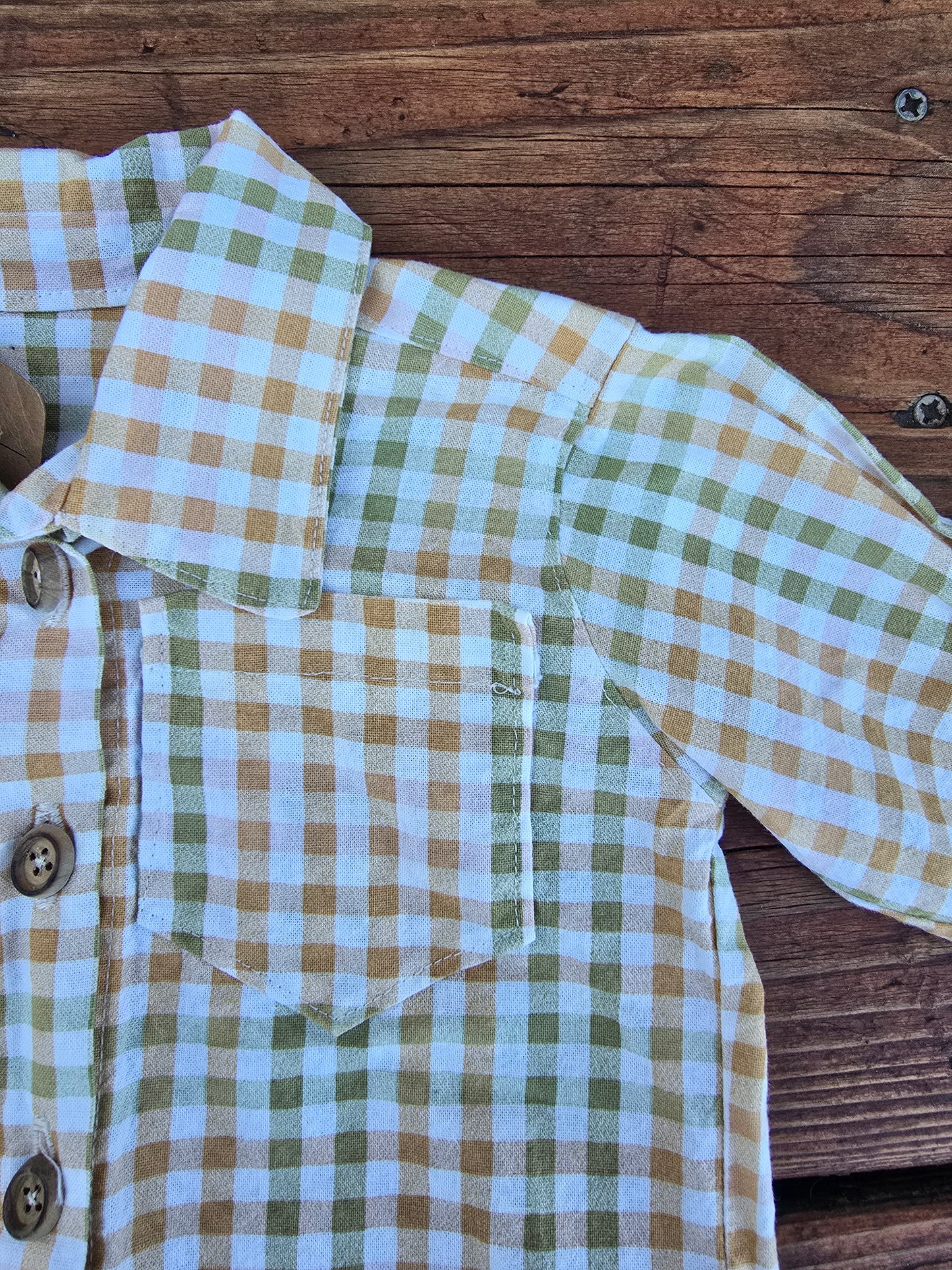 Boys Plaid Button Down Shirt-6M