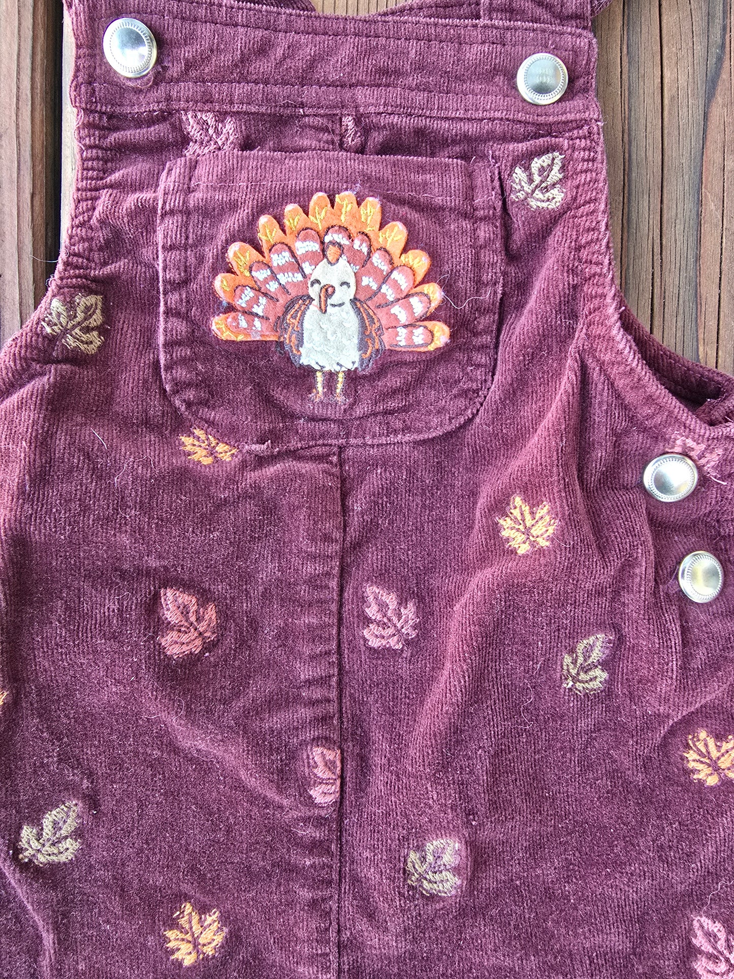 Cynthia Rowley Girls Corduroy Overall Outfit-12M