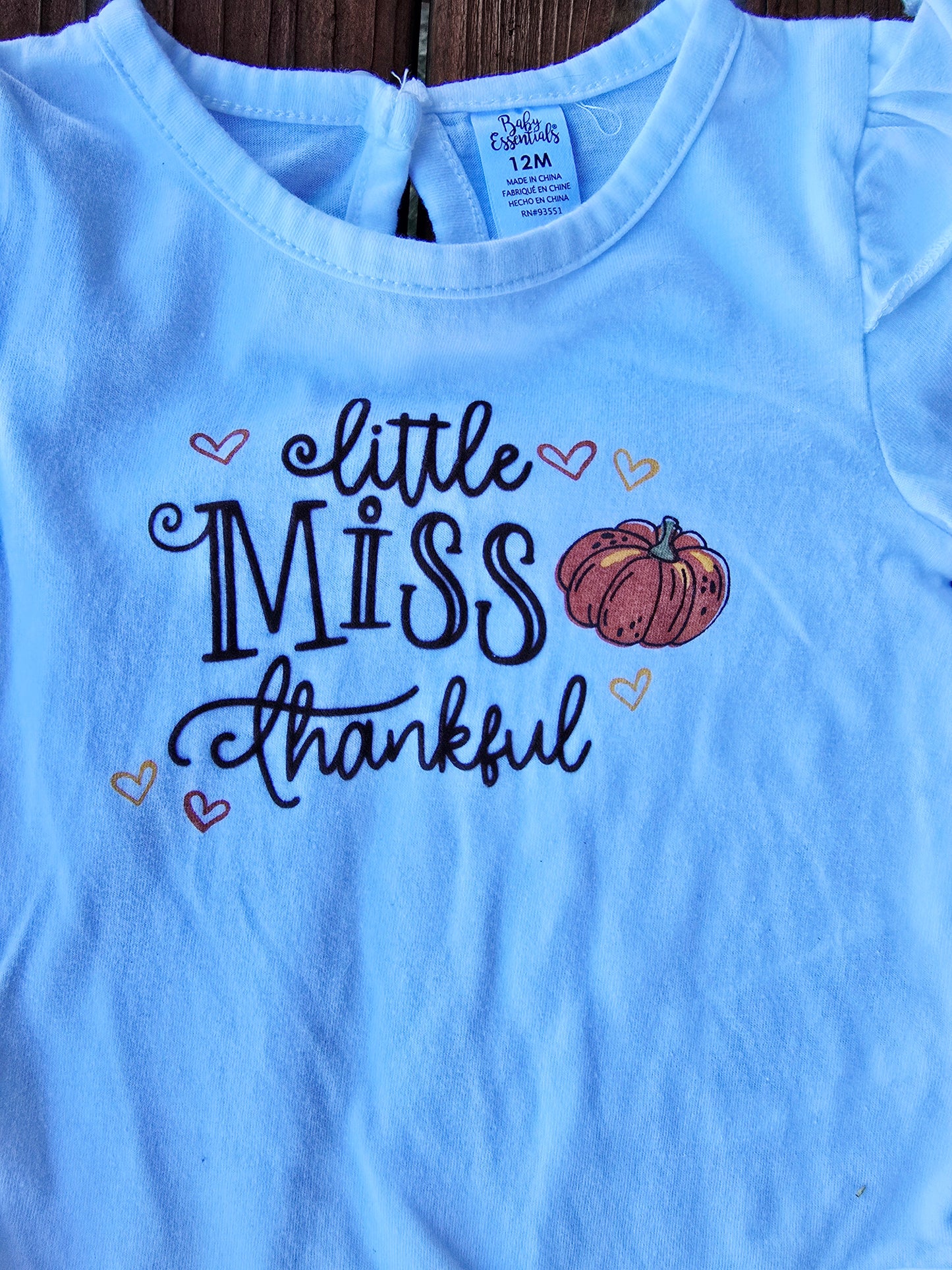 Baby Essentials Girls Onesie Leggings Outfit-12M