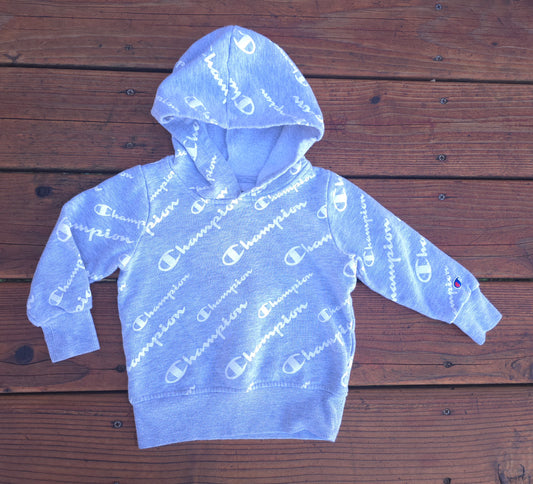 Champion Boys Pull Over Hoodie-3T