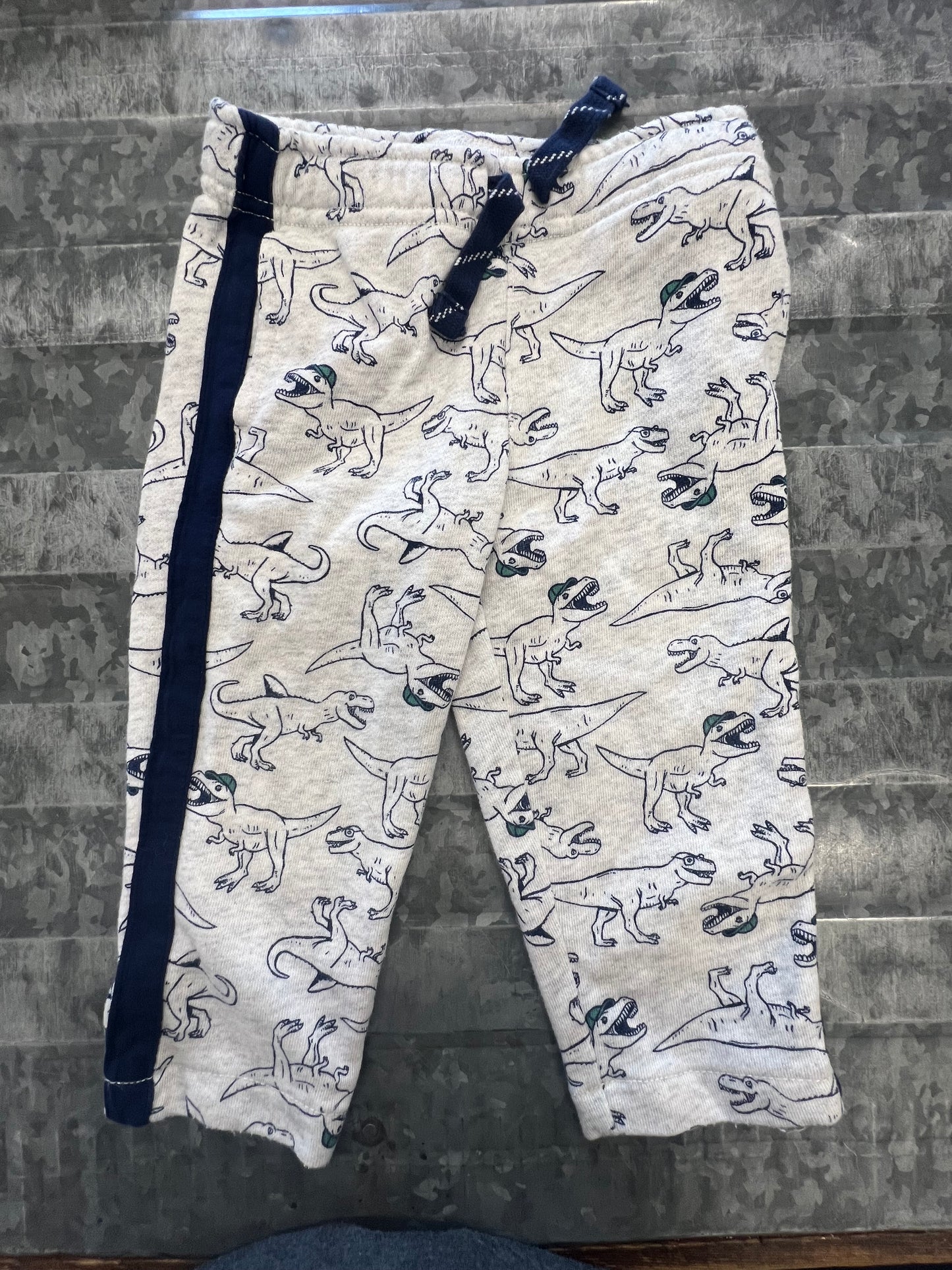 Carter Dino Sweats - 18M