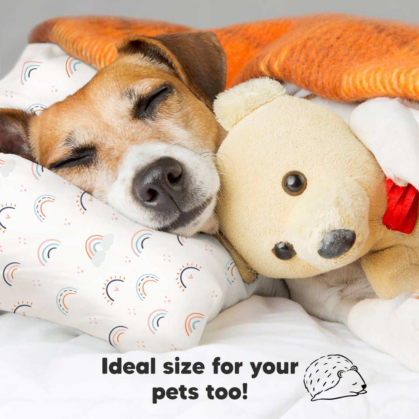 Toddler Pillow With Case - Rainbow