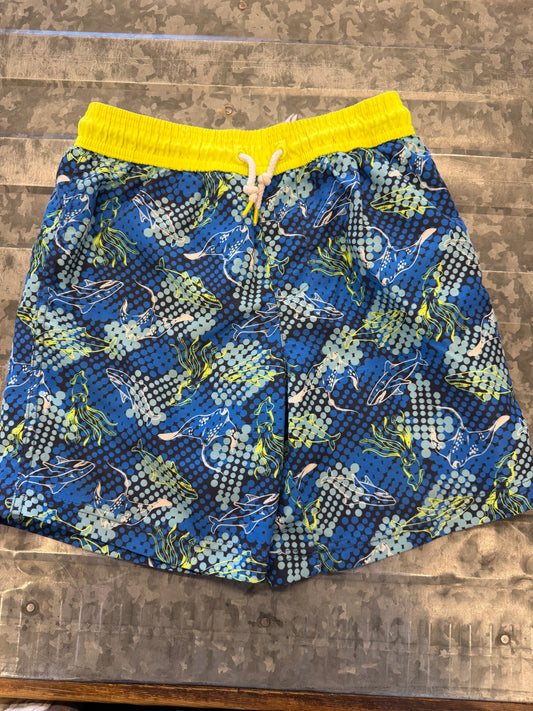 Panama Jack Swim Trunks - 7/8