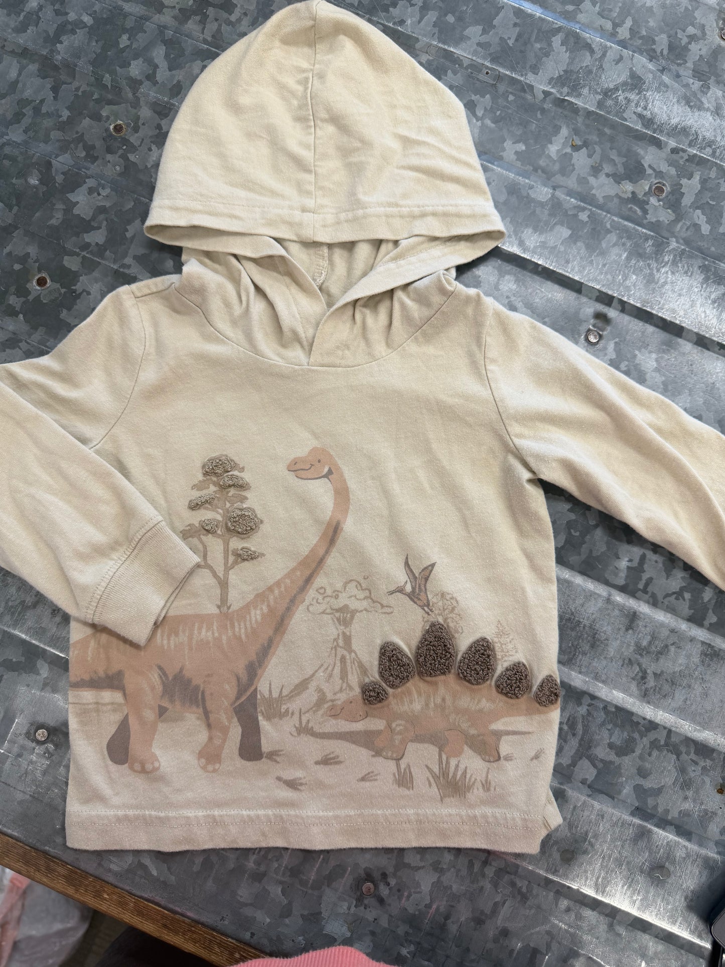 Carter Dino LS Shirt - 12M
