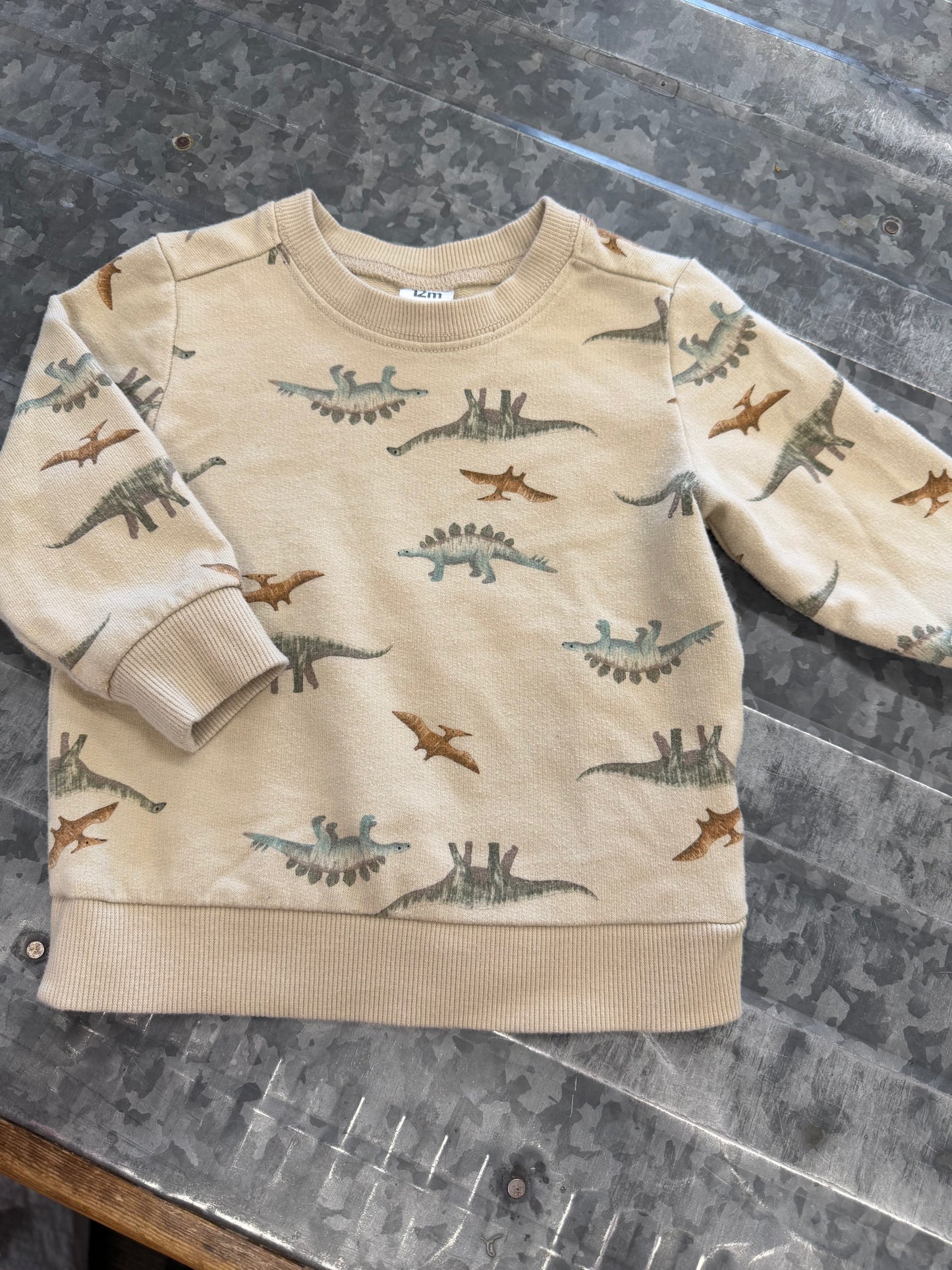 Carter Dino Crewneck - 12M