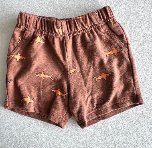 Carter Sweat Shorts - 18M