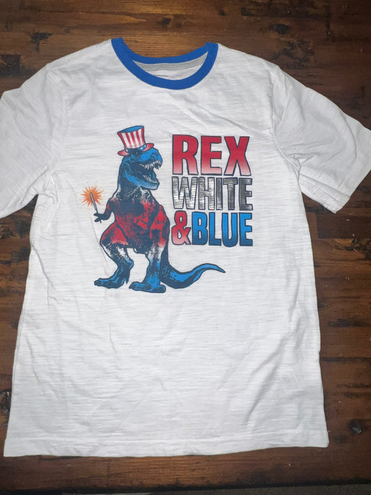 Celebrate Patriotic Shirt - 14/16