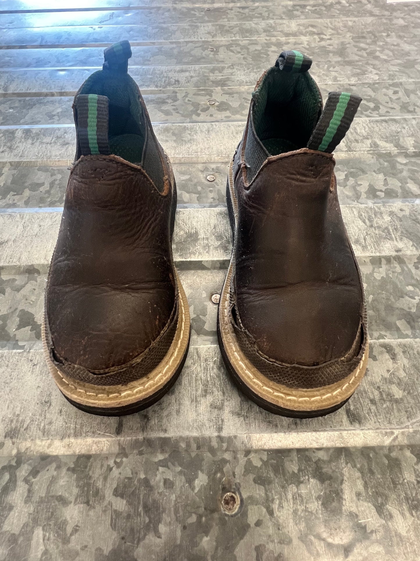 Georgia Giant Romeo - 8