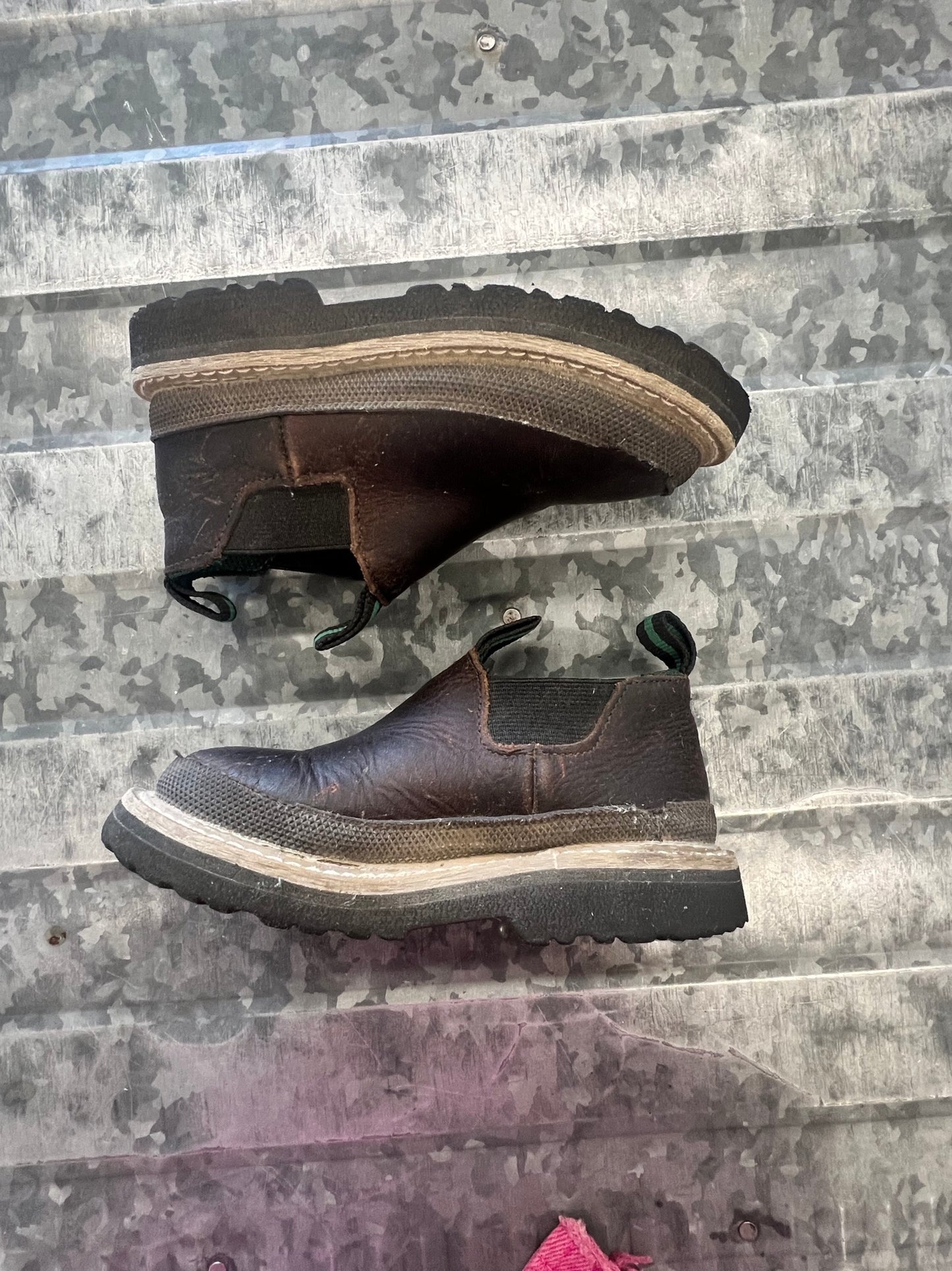 Georgia Giant Romeo - 8