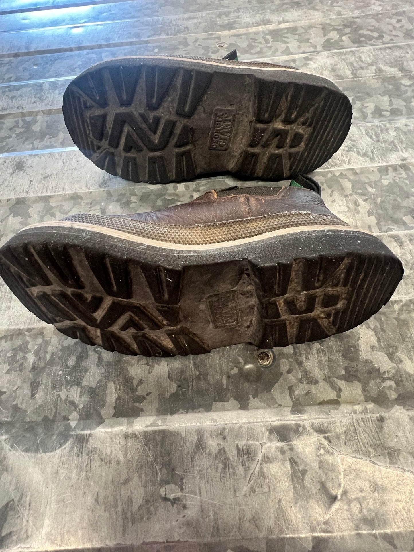 Georgia Giant Romeo - 8